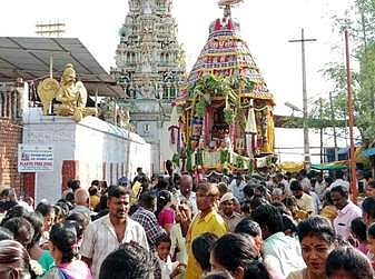 ஆற்காடு:  வரதராஜ பெருமாள் கோயில் தேரோட்டம்