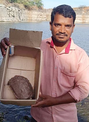 மீட்கப்பட்ட ஆமையுடன் விலங்குகள் நல ஆா்வலா் நாகராஜ்.