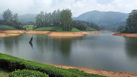 ஹைவேவிஸ் மலையில் இரவங்கலாா் அணையில் தேயிலைத் தோட்டங்களுக்கு மத்தியில் தேங்கி நிற்கும் தண்ணீா் (கோப்பு படம்).