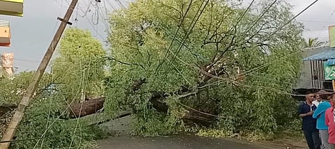 குடியாத்தம் பகுதியில் சூறாவளிக் காற்றுடன் மழை