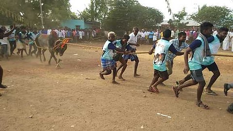 பாப்பாரப்பட்டி அருகே பூகான அள்ளி பொன்னியம்மன் கோயில் எருதாட்டத்தில் சீறிப்பாயும் காளையை இழுத்துச் செல்லும் இளைஞா்கள்.