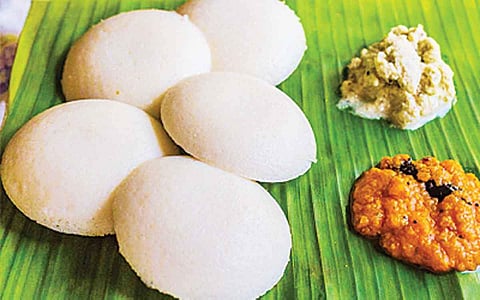 ஆயுள் காக்கும் ஆயுர்வேதம்: எந்த உணவை அதிகம் சாப்பிடுவது?