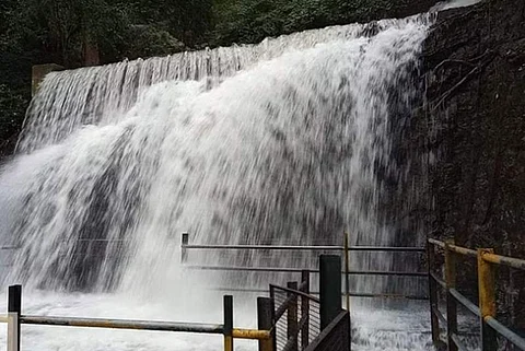யானைகள் நடமாட்டம்: சுருளி அருவியில் சுற்றுலாப் பயணிகள் குளிக்கத் தடை