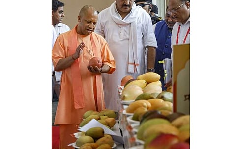 உ.பி. மாம்பழச் சந்தையை உலகளவில் விரிவுபடுத்த வேண்டும்: முதல்வர் யோகி ஆதித்யநாத்