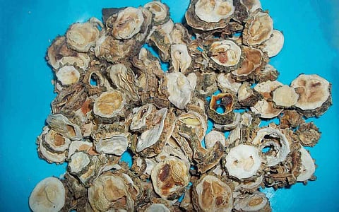 பாகற்காய் வற்றல்