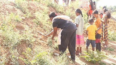 ஏரிக்கரையில்  பனை விதைகளை நடவு செய்யும் குழந்தைகள்.