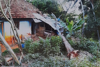 புதுக்கடை அருகே சூறைக் காற்றில் மரம் விழுந்து வீடு சேதம்