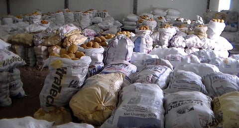 ஏலச் சந்தைக்கு கொண்டு வரப்பட்டிருந்த வெல்லச் சிப்பங்கள்.