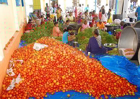 செபாஸ்தியாா் ஆலயத் திருவிழா: 1000 ஆடுகள் பலியிட்டு அன்னதானம்