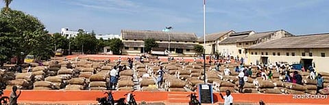 ரூ. 65 லட்சத்துக்கு பருத்தி ஏலம்