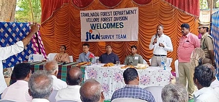 குடியாத்தம், போ்ணாம்பட்டு வனப் பகுதியில் ஜப்பான் குழு ஆய்வு