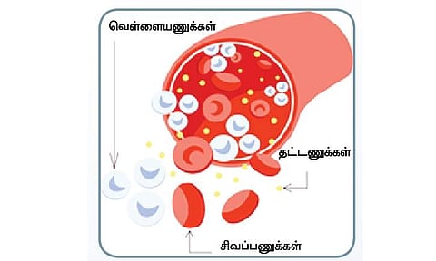 எலும்பு மஜ்ஜை: மாற்று சிகிச்சை எளியவர்களுக்கும் சாத்தியம்!