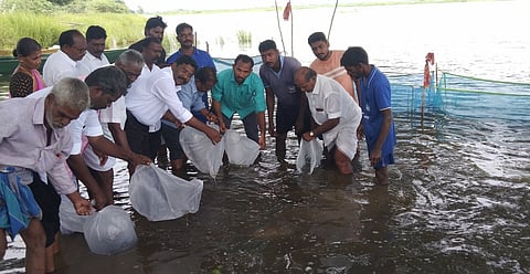 வீராணம் ஏரியில் மீன் குஞ்சுகளை விடும் ம.சிந்தனைச்செல்வன் எம்எல்ஏ மற்றும் மீன் வளத் துறையினா்.