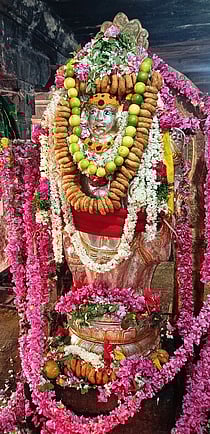 பொன்னமராவதி சோழீஸ்வரா் கோயிலில் நடைபெற்ற வழிபாட்டில் சிறப்பு அலங்காரத்தில் பைரவா்.