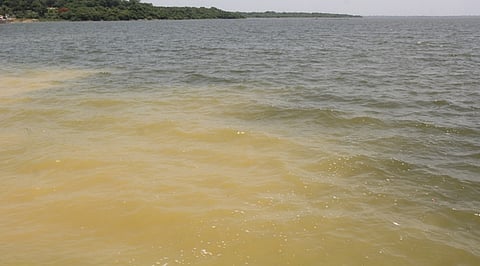 தொடா் மழையால் பூண்டி ஏரிக்கு நீா்வரத்து அதிகரிப்பு