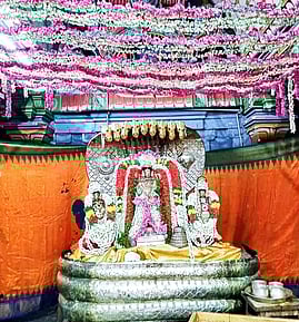சிறுபுலியூா் பெருமாள் கோயிலில் விஸ்வரூப தரிசனம்