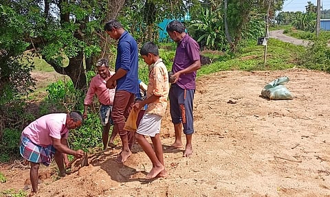  பனை விதைகளை நடும் சமூக ஆா்வலா்கள், இளைஞா்கள்.
