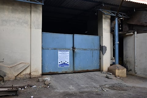 4905tri25close_company_2509chn_4