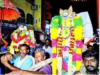 சிங்கம்புணரியில் புரவியெடுப்பு விழா