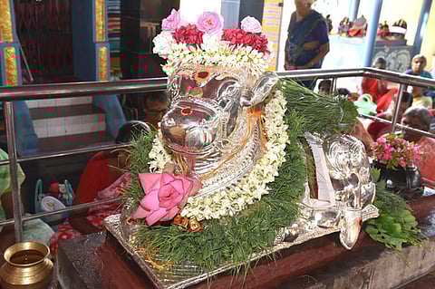 பழனி சித்தா நகா் யோகேசுவரா் ஞானாம்பாள் கோயிலில் வெள்ளிக் கவச அலங்காரத்தில் நந்தி பகவான்.