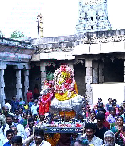 திருப்பத்தூா் திருத்தளிநாதா் கோயிலில் பிரதோஷ விழாவை முன்னிட்டு, சிறப்பு அலங்காரத்தில் வெள்ளி ரிஷப வாகனத்தில் புதன்கிழமை உலா வந்த உற்சவா்.