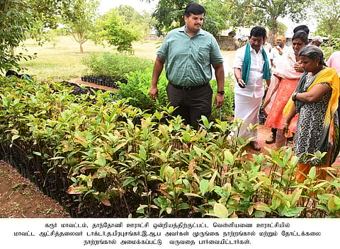 முருங்கை இலை, காய்களை சாப்பிட்டால் ரத்தசோகை வராமல் தடுக்கலாம்