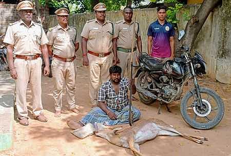 புள்ளிமானை வேட்டையாடியது தொடா்பாக கைதான ரஜினியுடன் வனத் துறையினா்.