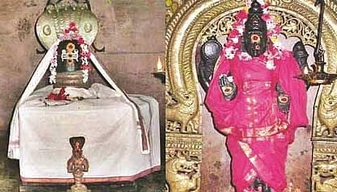 சர்ப்ப தோஷ நிவர்த்தி தலம் திருப்பாம்புரம் 