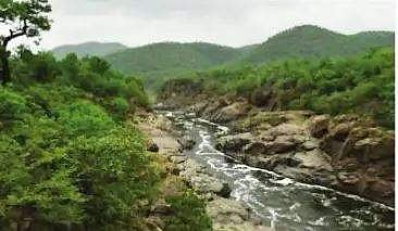 மேக்கேதாட்டு அணைத் திட்டம் வனவிலங்குகளுக்கு பெரும் பாதிப்பை ஏற்படுத்தும்