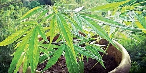 கோப்புப்படம்