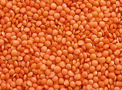 மசூா் பருப்பு பதுக்கலை தடுக்க அரசு நடவடிக்கை