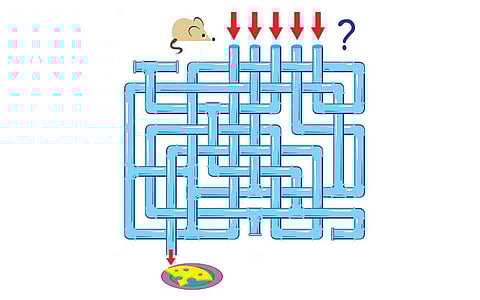 கண்டுபிடியுங்கள் பார்க்கலாம்