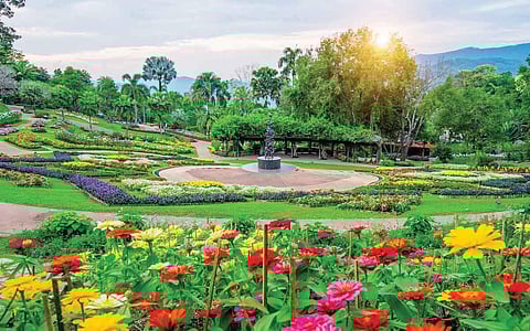 தோட்ட உலா