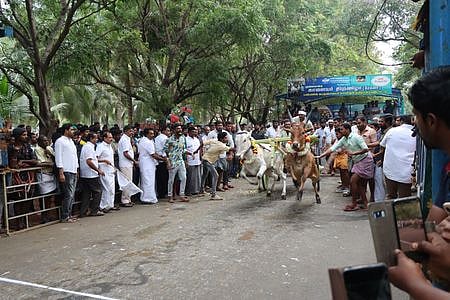 கோவை கே.பி.ஆா். கல்லூரியில் நடைபெற்ற ரேக்ளா பந்தயத்தில் பங்கேற்று இலக்கை நோக்கி சீறிப்பாயும் வண்டி.