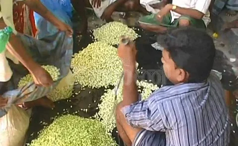 மலர் சந்தையில்  ரூ.3,000 ஆக விலை அதிகரித்துள்ள மதுரை மல்லிகைப் பூ.