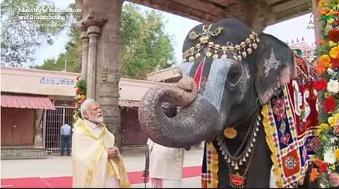 மௌத் ஆர்கன் வாசிக்கும் ஆண்டாள் யானை