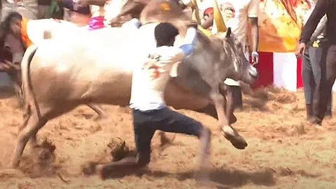 அலங்காநல்லூர் ஏறுதழுவுதல் அரங்கத்தில் முதல் ஜல்லிக்கட்டுப் போட்டித் தொடங்கியது!