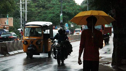 Rain