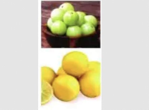 பாட்டி வைத்தியம்...(7/01/2024)