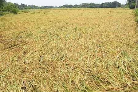 கோப்புப்படம்