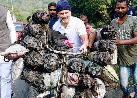 நிலக்கரி கொண்டு செல்வோரின் சைக்கிளுடன் ராகுல்!