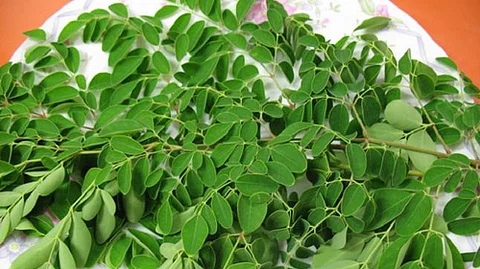 முருங்கை இலை