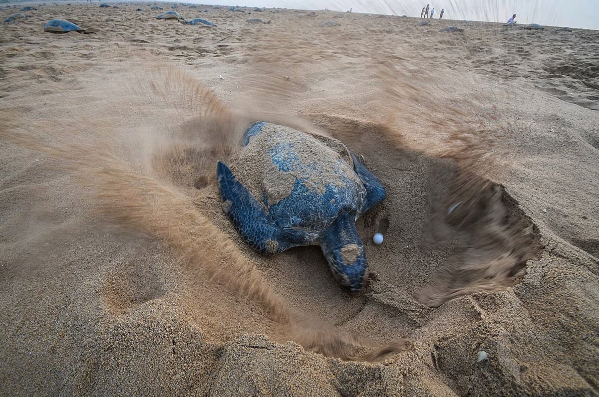 Endowment Policies: A Secure Way to Save and Grow Your Hard-Earned Money