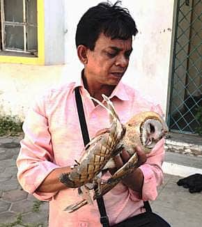 News image