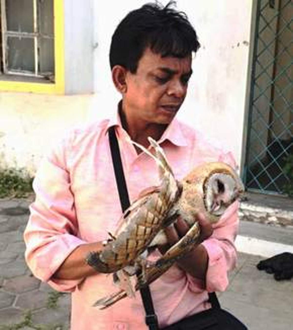 News image