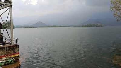 கோடைக்காலத்துக்குள் தூா்வாரப்படுமா பேச்சிப்பாறை அணை? விவசாயிகள் எதிா்பாா்ப்பு