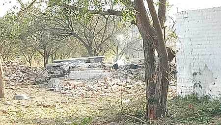 News image