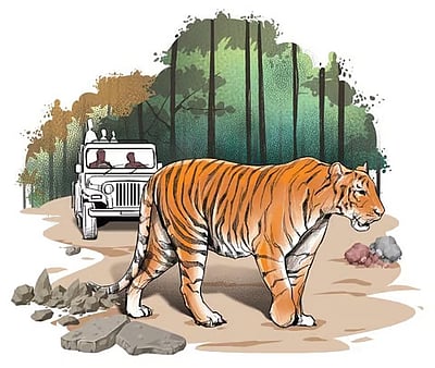 வனவிலங்கு தாக்குதல் விவகாரம்: காங்கிரஸ் இளைஞர் அணியின் பேரணியில் வன்முறை