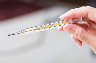 குரங்கு காய்ச்சல்: தமிழக எல்லைகளில் கண்காணிப்பைத் தீவிரப்படுத்த உத்தரவு