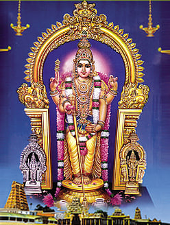 பக்தி பரவசமூட்டும் பங்குனி உத்திரம்